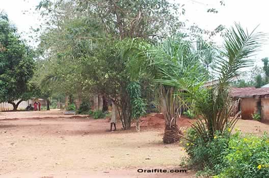 Compound view of Girls Secondary School Ifite.