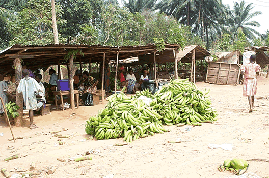 Nkwo Ozulogu Market 2003 Picture.