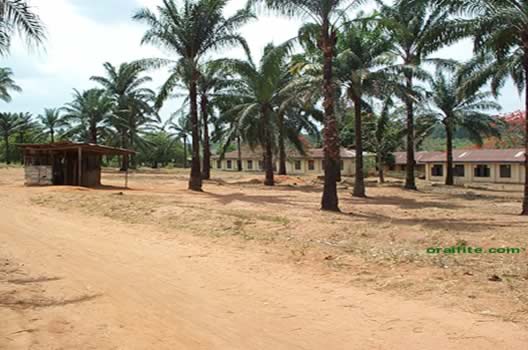 Forward view of Oraifite Boys Secondary School Isingwu.