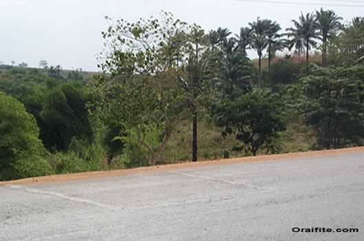 Forest view of River Ekulo Okpuzo Oyibo.