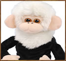 Dave the Funky Monkey